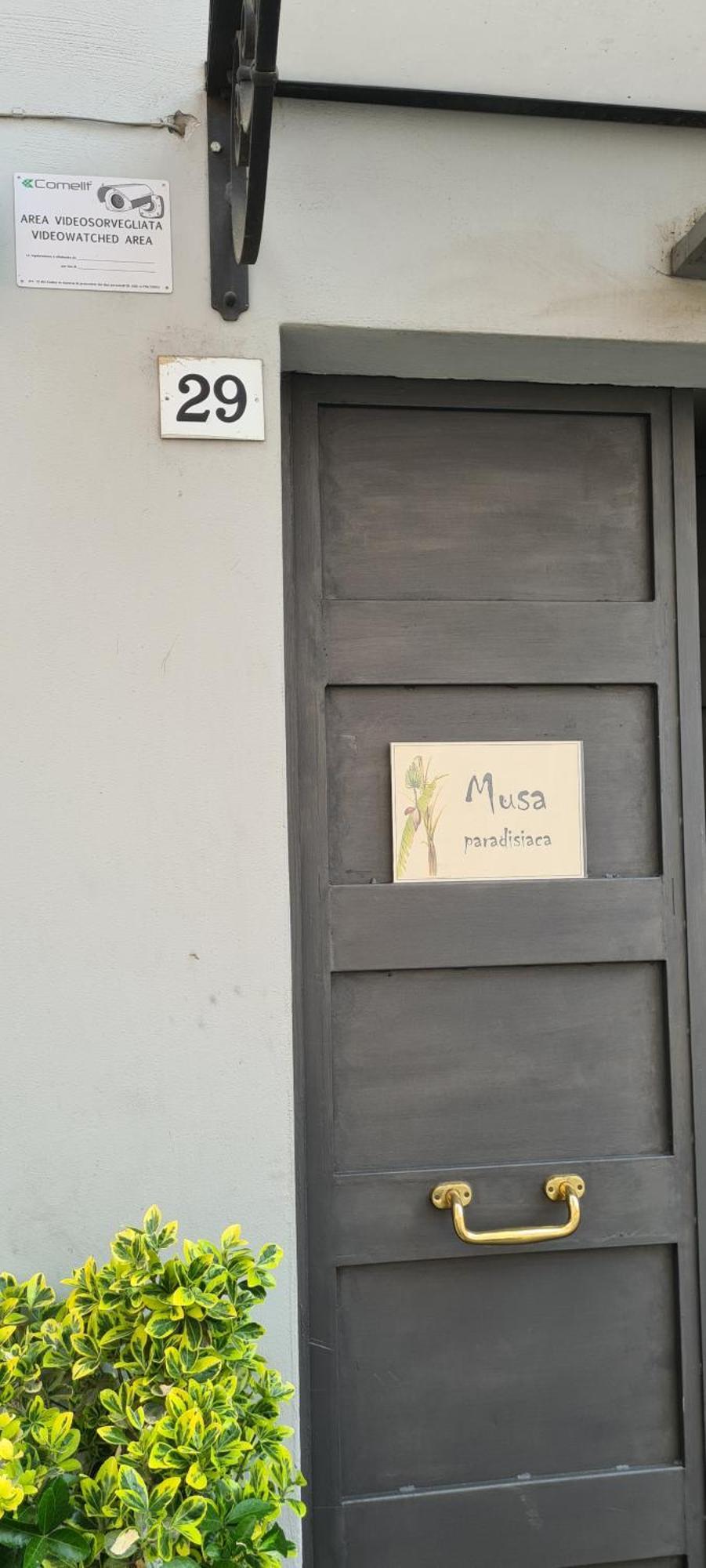 Musa Paradisiaca Turin Ruang foto